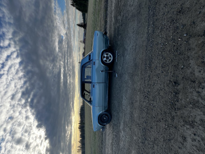 IMG_5255.jpeg
