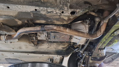 2024 pesun jälkeen 1