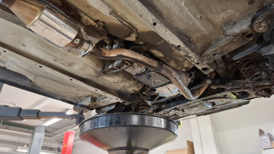 2024 pesun jälkeen 2